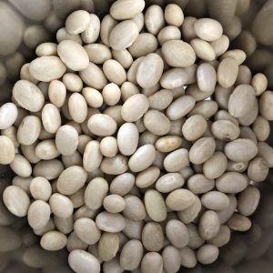 Haricot Beans